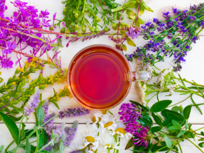 🌿 Techniques de conservation des plantes sauvages / Tisanes et infusions